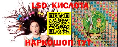 крисы Кулебаки