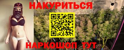 сатива Кунгур
