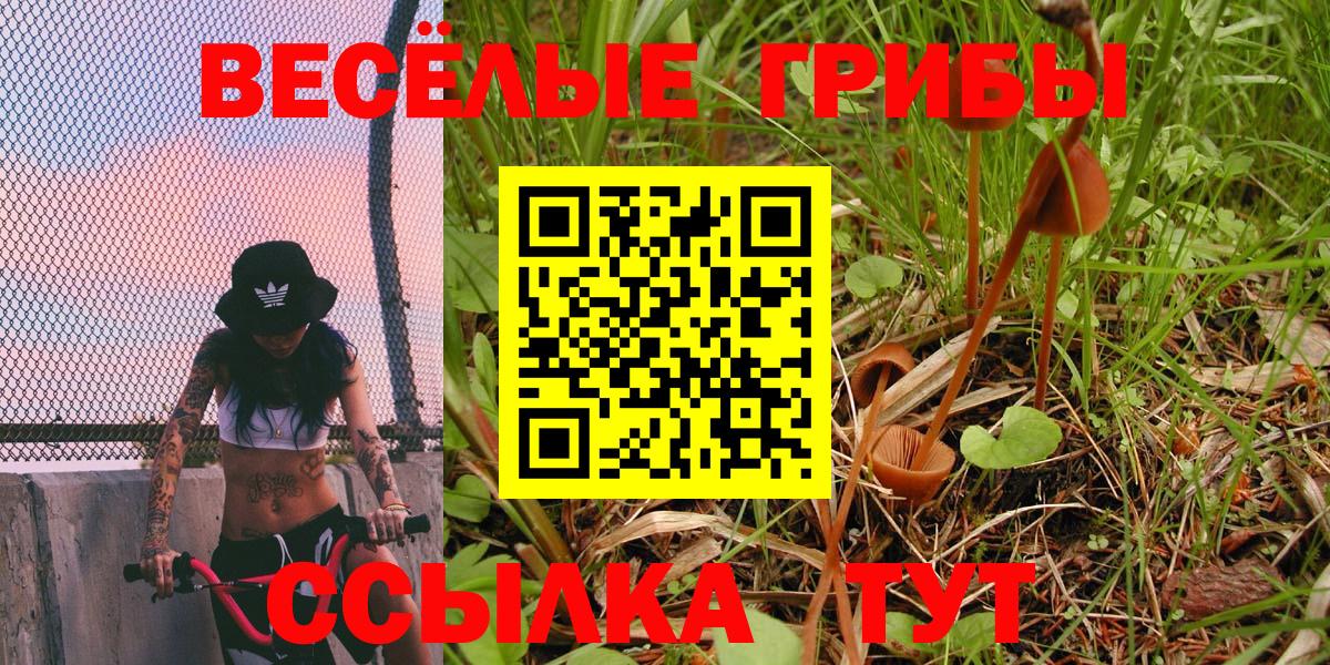 Псилоцибиновые грибы мицелий Электросталь