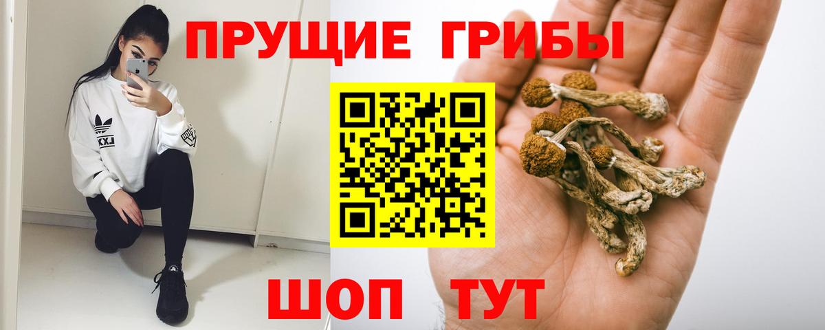 Электросталь  Галлюциногенные грибы прущие грибы  Вход с VPN 